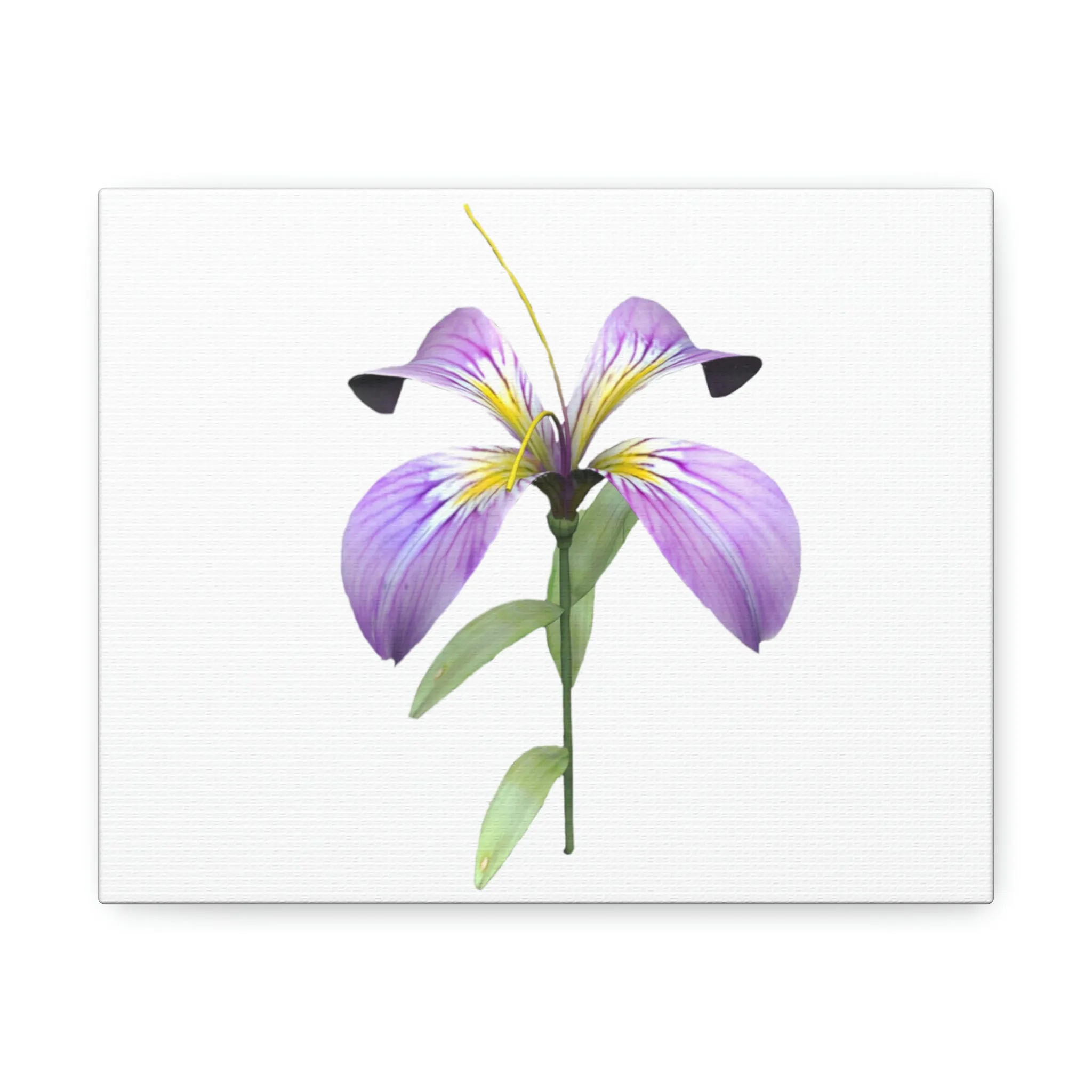 Purple Flower Stretched Canvas